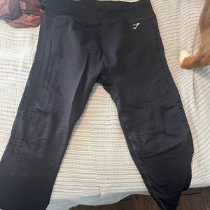 Gym Shark Miscellaneous